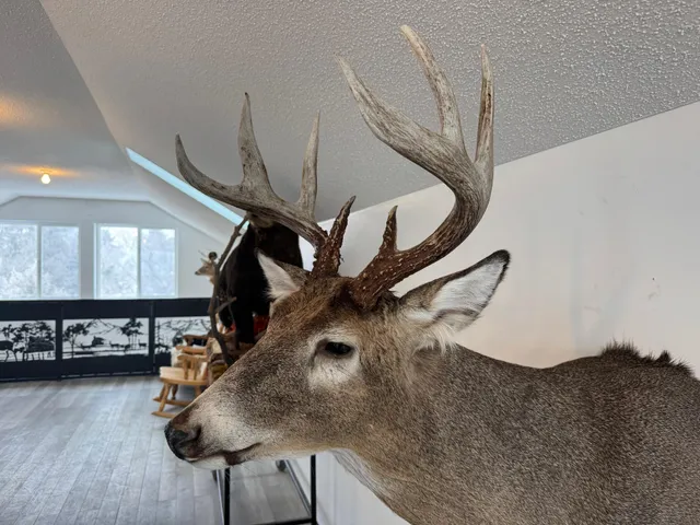 $499,900 | 14379 Chestnut Road, Princeton, MN 55371