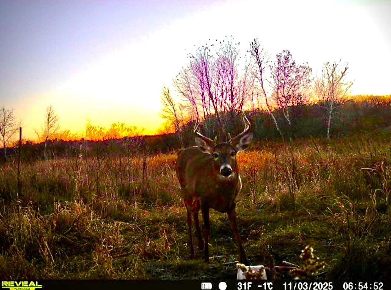 14379 Chestnut Road Princeton, MN 55371 - Photo 38 of 67