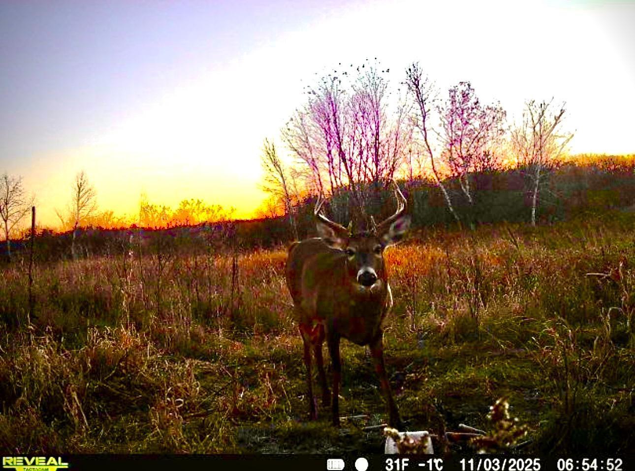 14379 Chestnut Road Princeton, MN 55371 - Photo 38 of 67