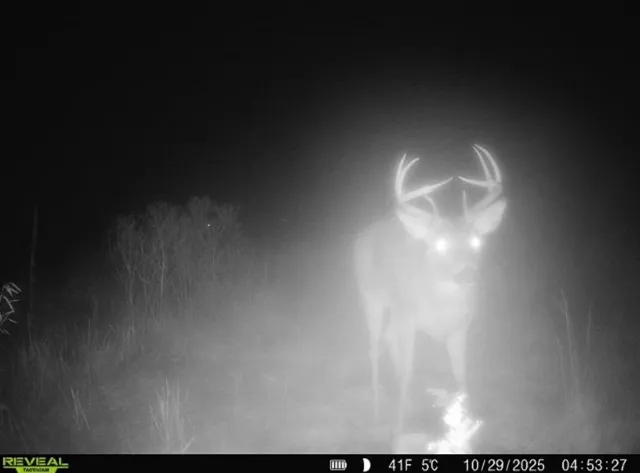 $499,900 | 14379 Chestnut Road, Princeton, MN 55371