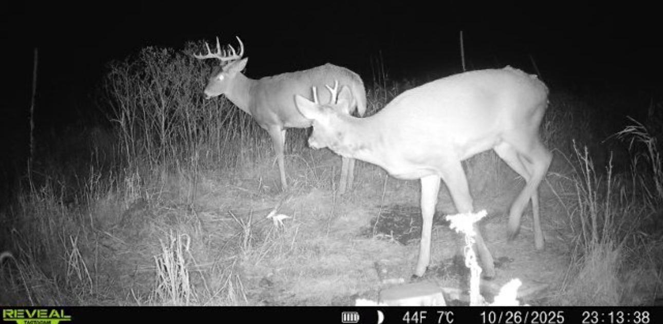 14379 Chestnut Road Princeton, MN 55371 - Photo 50 of 67