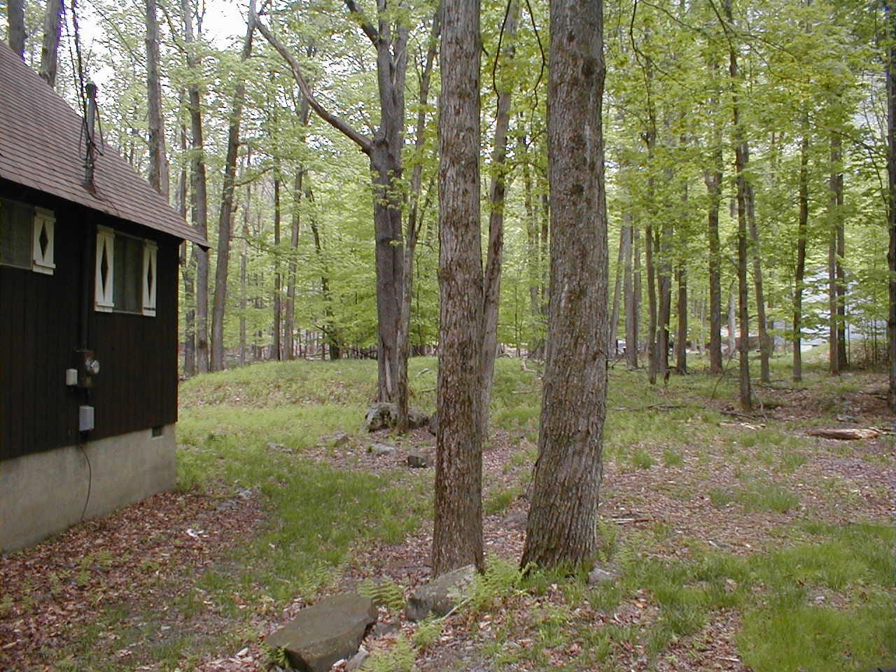 803 Evergreen Road Pocono Lake, PA 18347 - Photo 11 of 18 Side yard / back yard