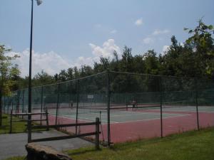 803 Evergreen Road Pocono Lake, PA 18347 - Photo 18 of 18 Tennis courts