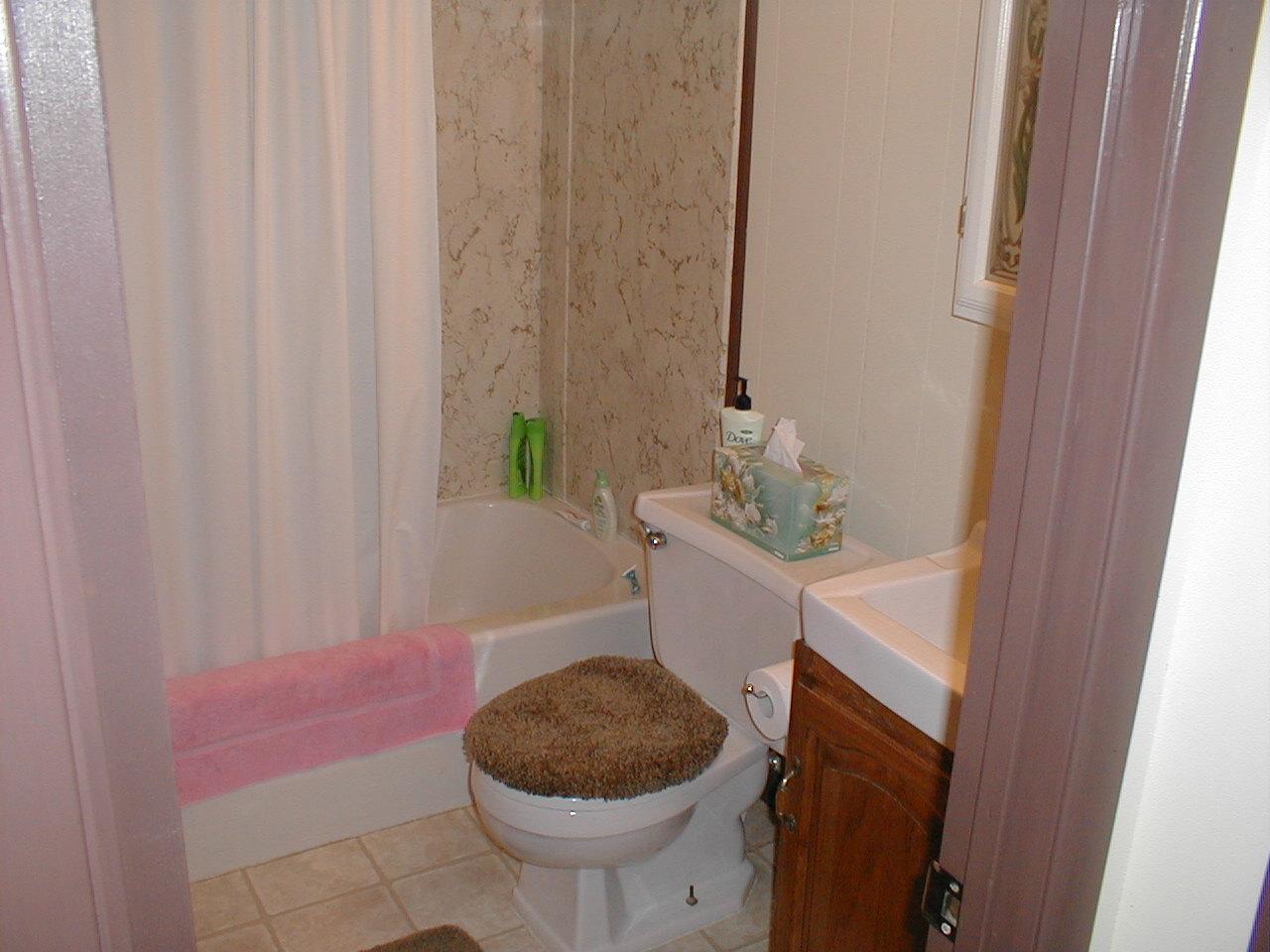 803 Evergreen Road Pocono Lake, PA 18347 - Photo 8 of 18 Bath