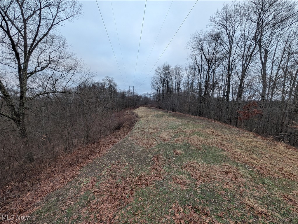 Brown Peavine Road Alledonia, OH 43902 - Photo 41 of 50