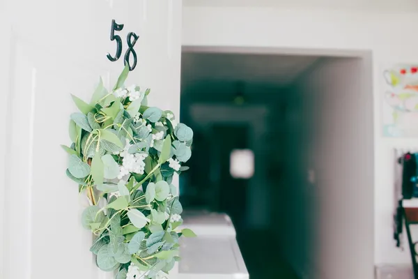 a plant with a plant