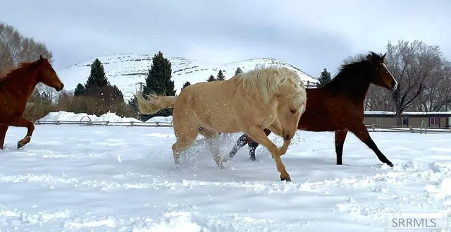 $430,000 | 590 Park Avenue, Arco, ID 83213