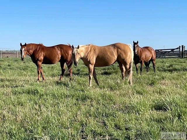 $430,000 | 590 Park Avenue, Arco, ID 83213