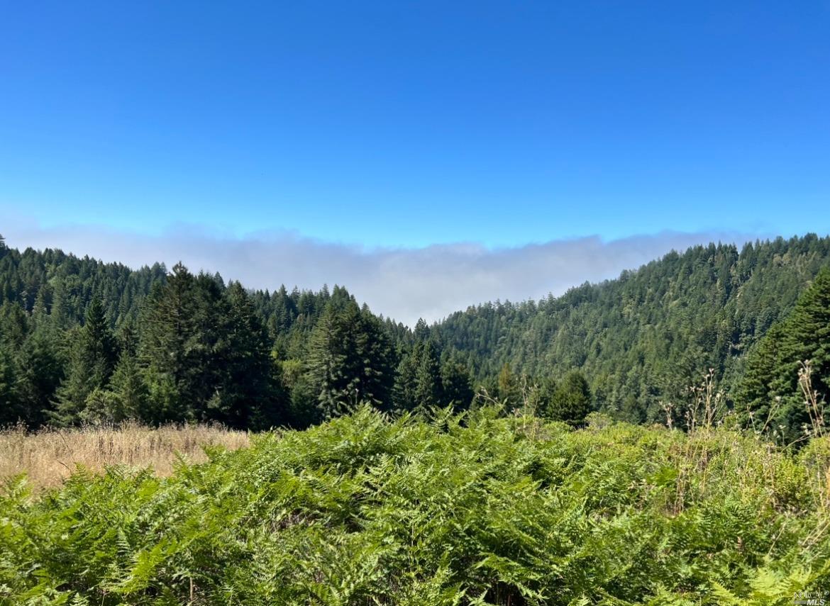 0 Muniz Ranch Road Jenner, CA 95450 - Photo 1 of 1 Gallery Image 1