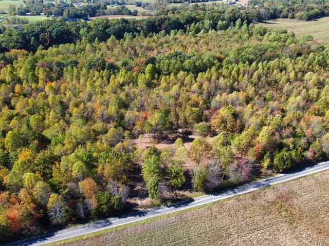 a view of a garden with a pathway
