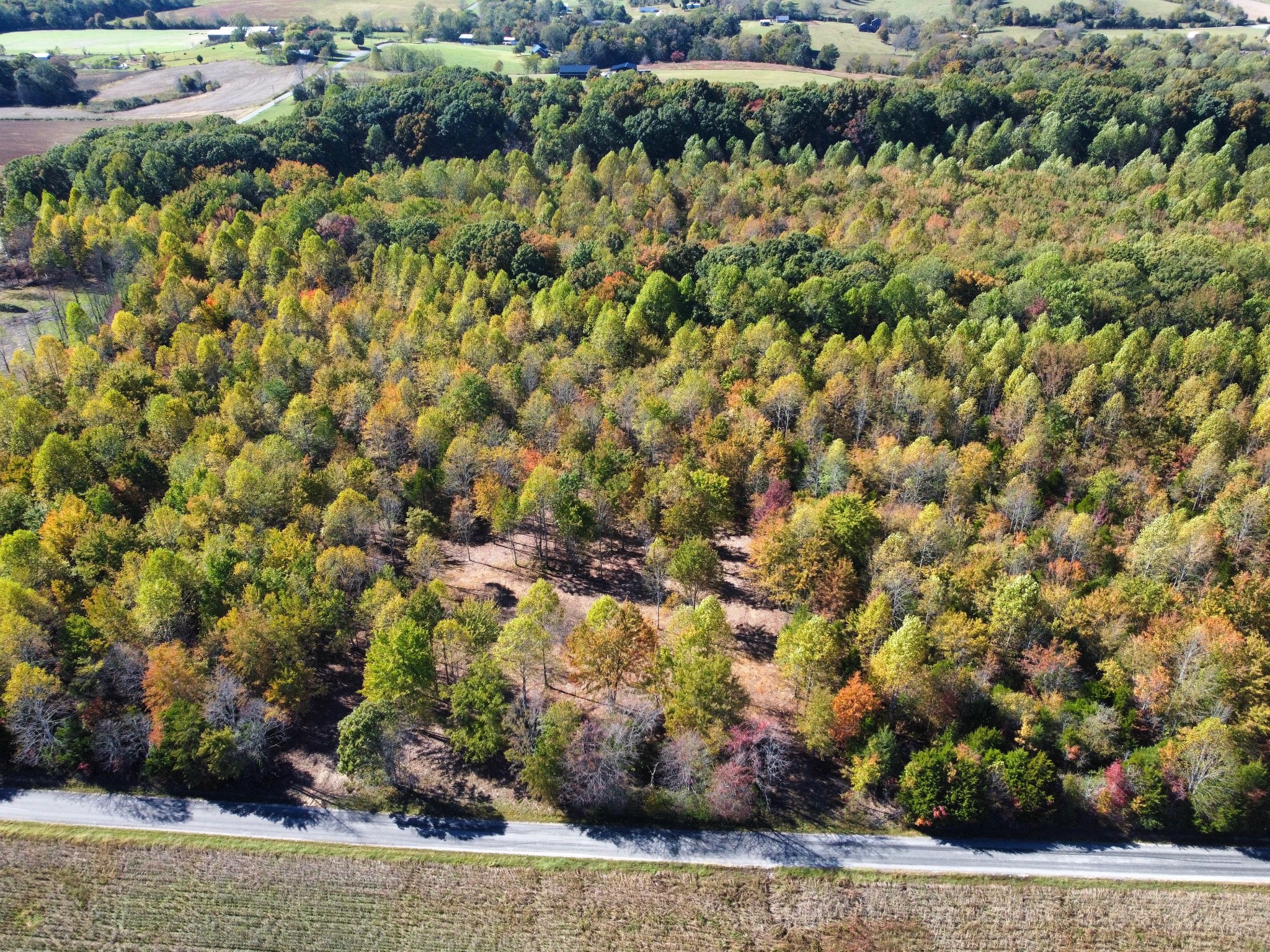 0 Johnson Road Westmoreland, TN 37186 - Photo 3 of 6 a view of a bunch of trees and bushes