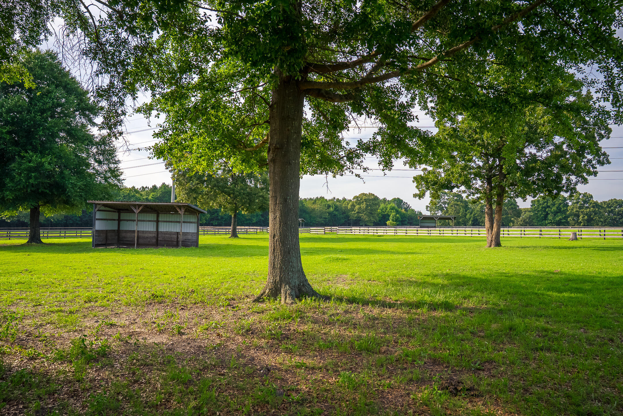 500 Burkelo Road Wagener, SC 29164 - Photo 67 of 80