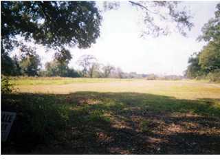 Primary Photo