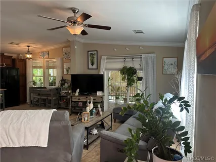 a living room with furniture potted plant and a ceiling fan