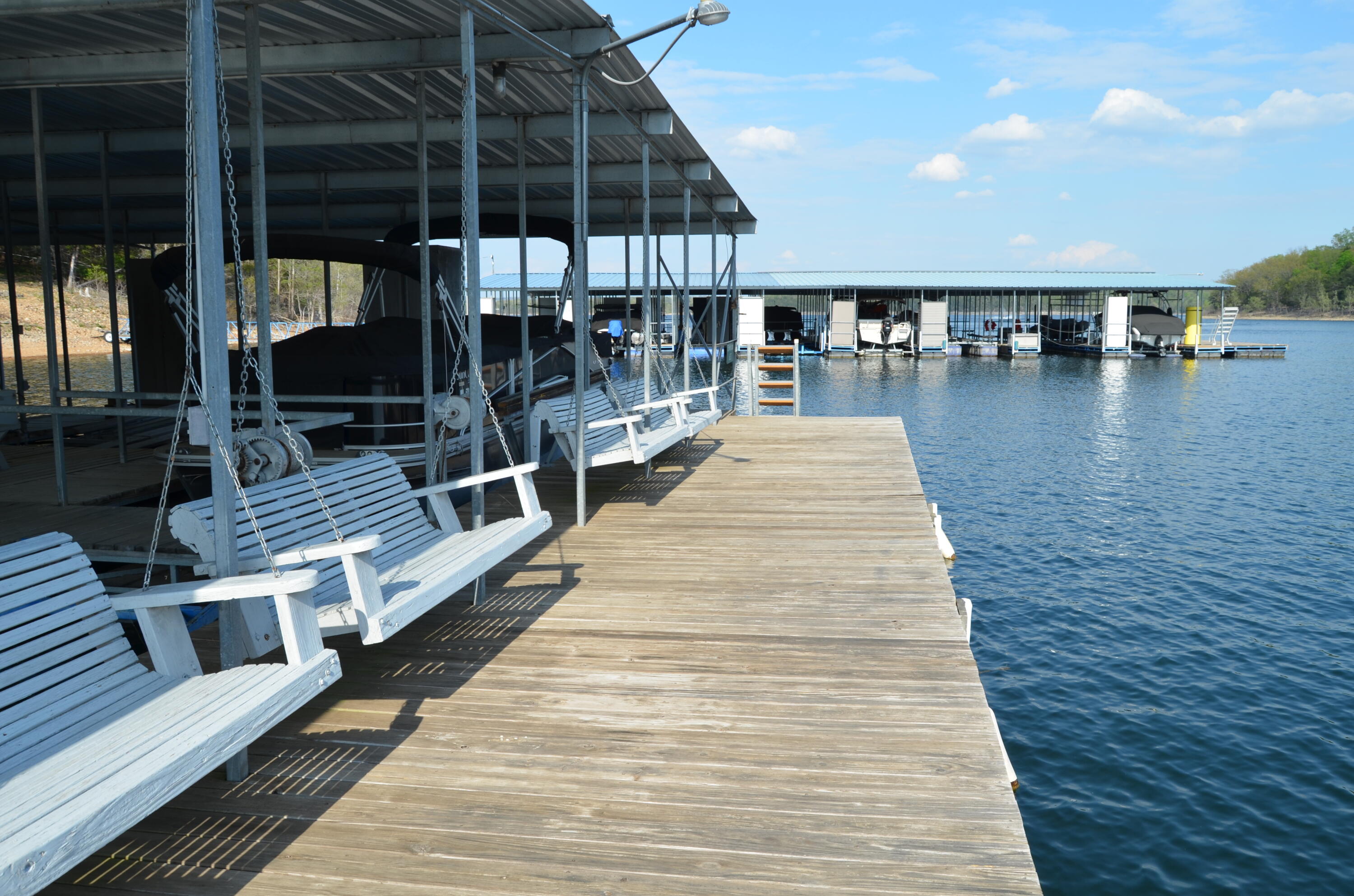 407 Millwood Drive Reeds Spring, MO 65737 - Photo 37 of 48 Swim Platform