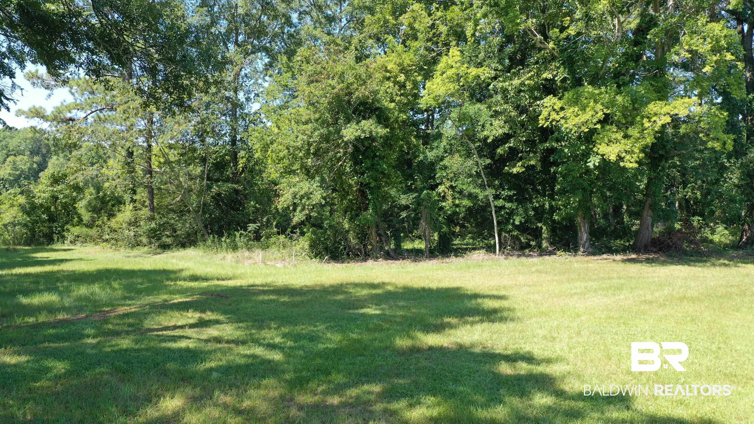 Lot 21 Judge Greene Place Road Greensboro, AL 36744 - Photo 12 of 50
