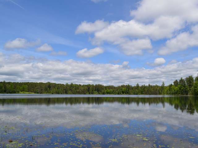 W5196 Jelinek Road Tomahawk, WI 54487 - Photo 1 of 20 Gallery Image 1