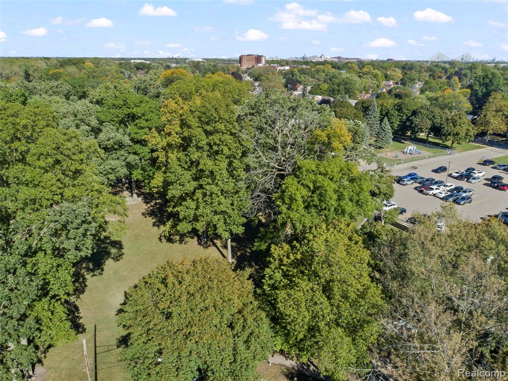 3309 Dallas Street Dearborn, MI 48124 - Photo 4 of 34