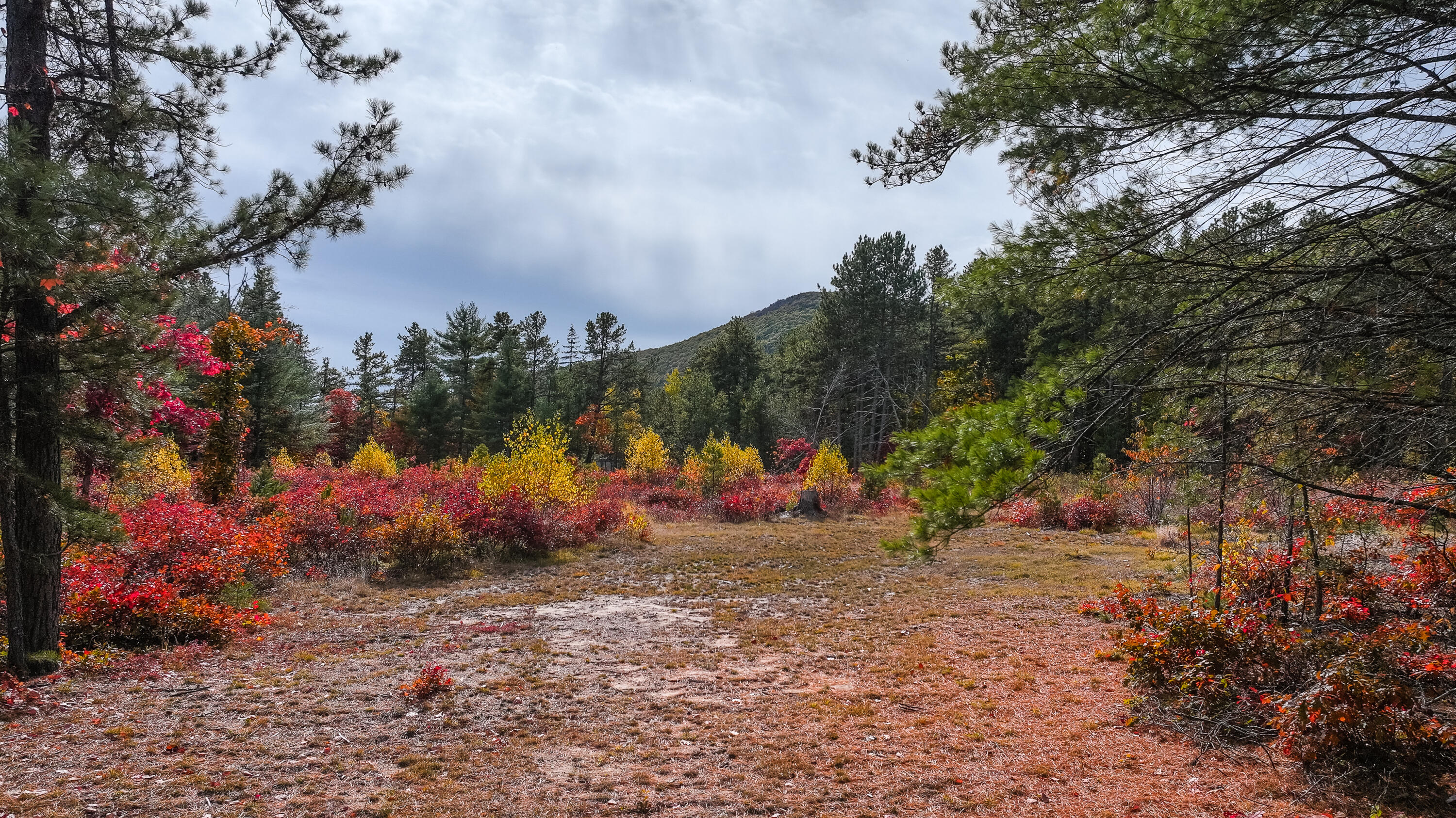97 Pig Street Brownfield, ME 04010 - Photo 3 of 37 97 pig street-31