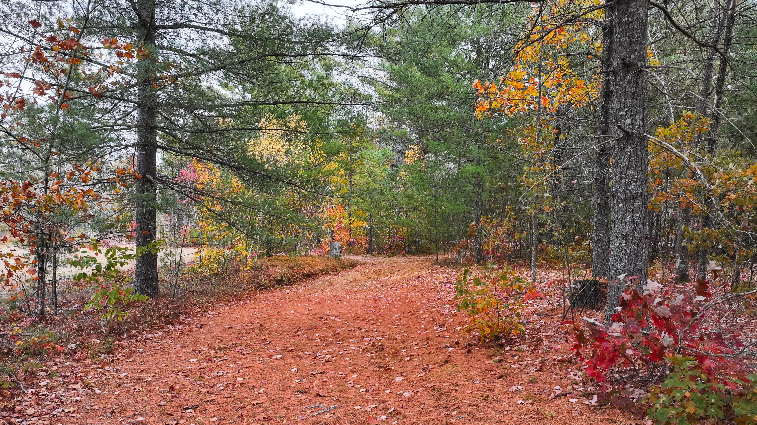 97 Pig Street Brownfield, ME 04010 - Photo 35 of 37 97 pig street-39