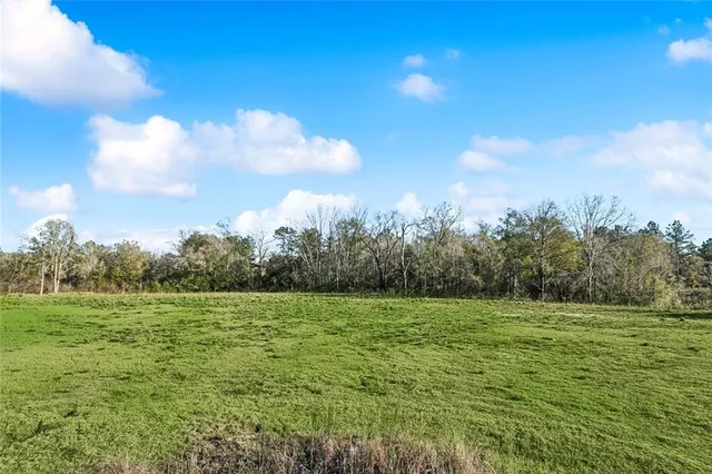 $255,000 | 12572 Goldentop Drive, Covington, LA 70433