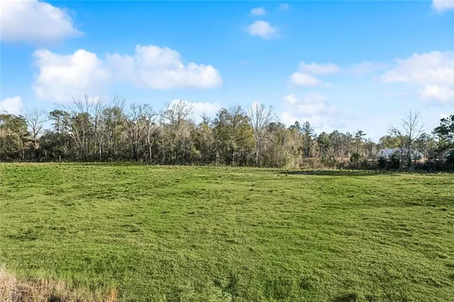 $255,000 | 12572 Goldentop Drive, Covington, LA 70433