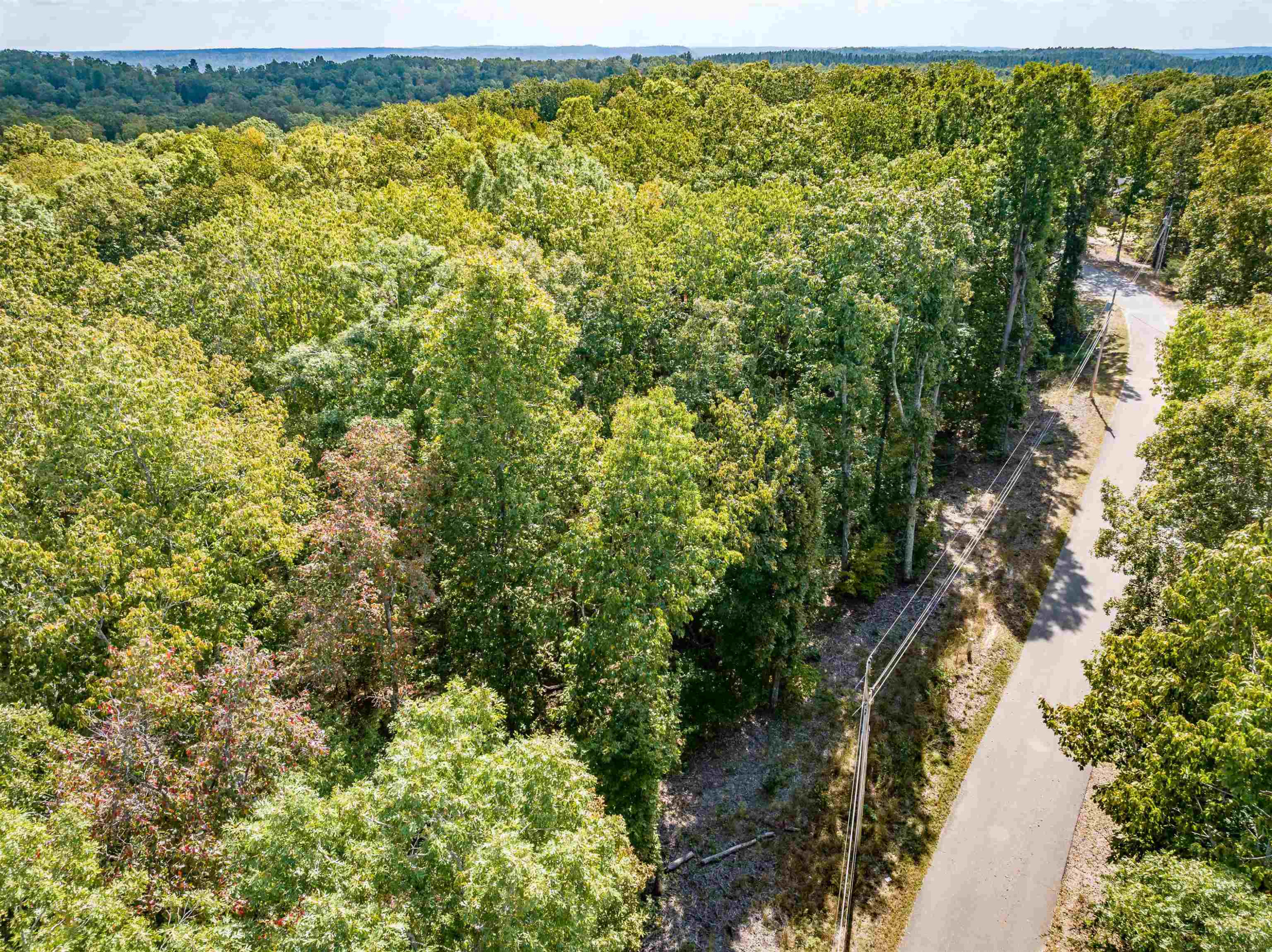 14-16 Ridgeway Drive Sugar Tree, TN 38380 - Photo 10 of 15 Photo 10