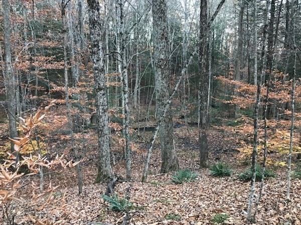 0 Hawley Road Ashfield, MA 01330 - Photo 3 of 10 a view of a pathway both side of a road