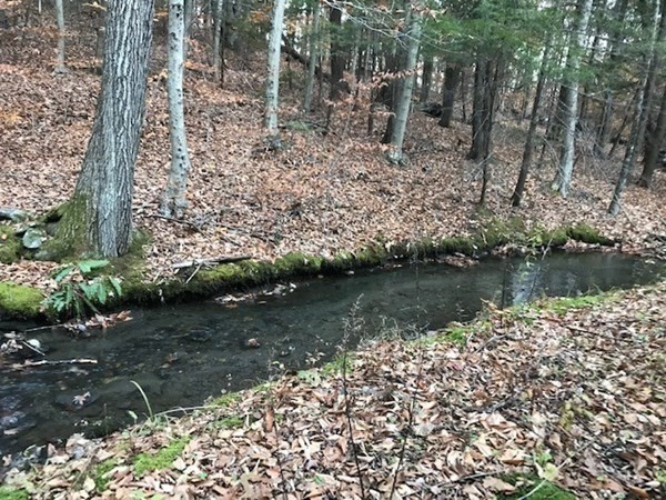 0 Hawley Road Ashfield, MA 01330 - Photo 5 of 10 a view of lake with green space