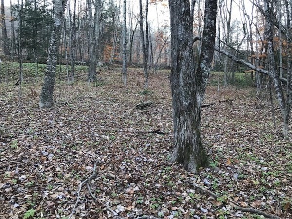 0 Hawley Road Ashfield, MA 01330 - Photo 7 of 10 a view of a yard
