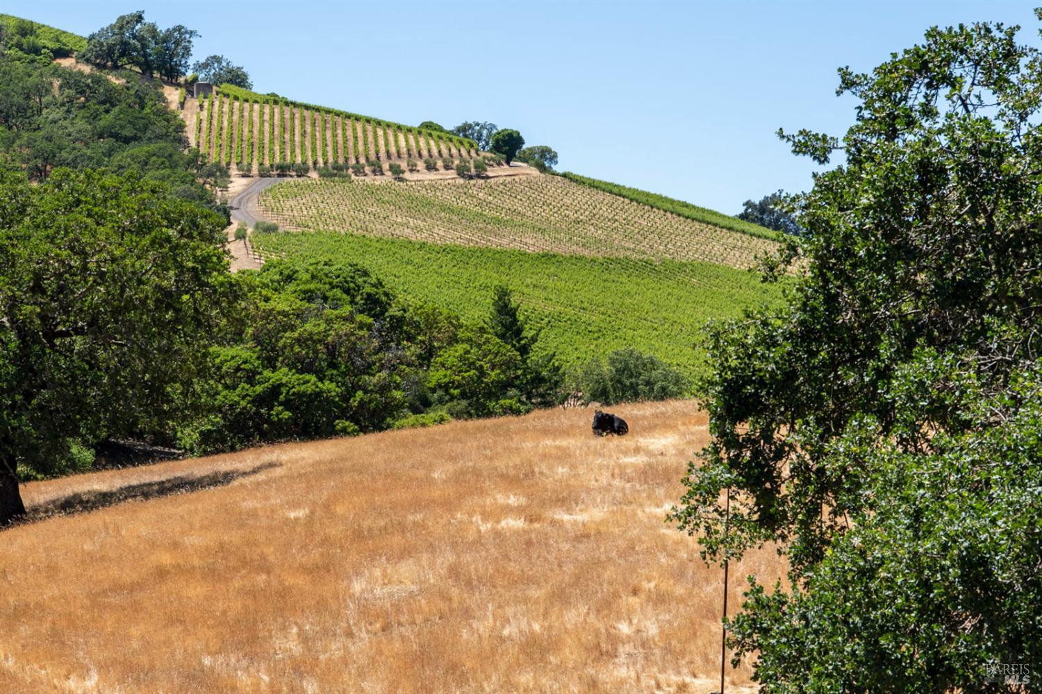 13451 Rockpile Road Geyserville, CA 95441 - Photo 67 of 92