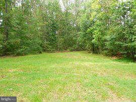4055 Novum Road Reva, VA 22735 - Photo 26 of 30 Exterior (Rear)