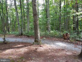 4055 Novum Road Reva, VA 22735 - Photo 29 of 30 Exterior (General)