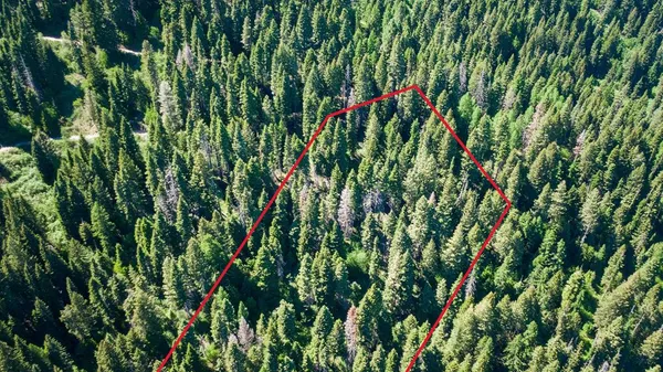 $69,900 | Tbd Burnt Wagon Trail, Cascade, ID 83611