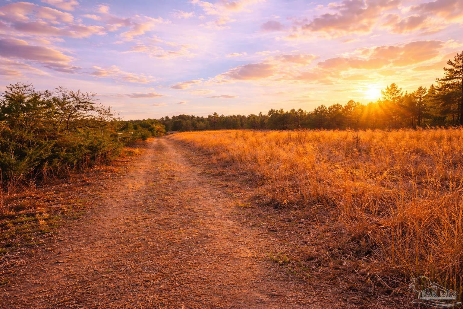 Lot 41 Mineral Springs Road Jay, FL 32565 - Photo 1 of 17 a view of a lake view