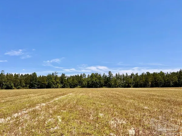 a view of patio and yard