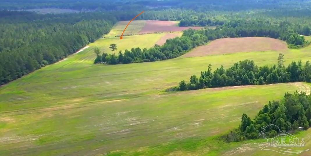 Lot 41 Mineral Springs Road Jay, FL 32565 - Photo 4 of 17 a view of an outdoor space yard