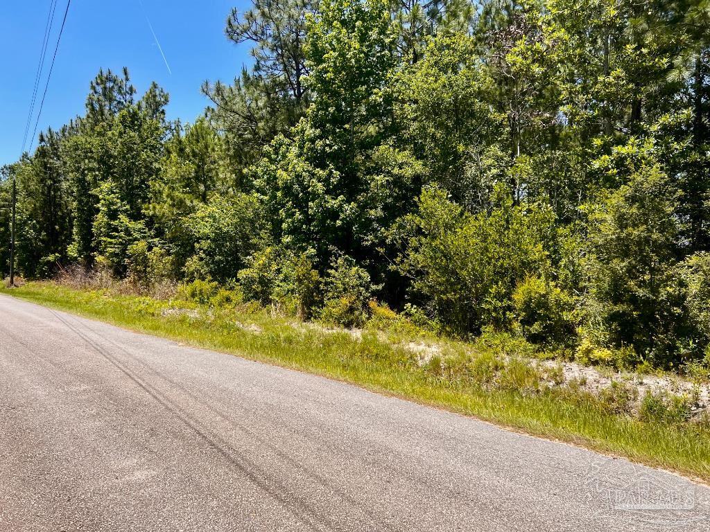 Lot 41 Mineral Springs Road Jay, FL 32565 - Photo 5 of 17 a view of a yard with a tree