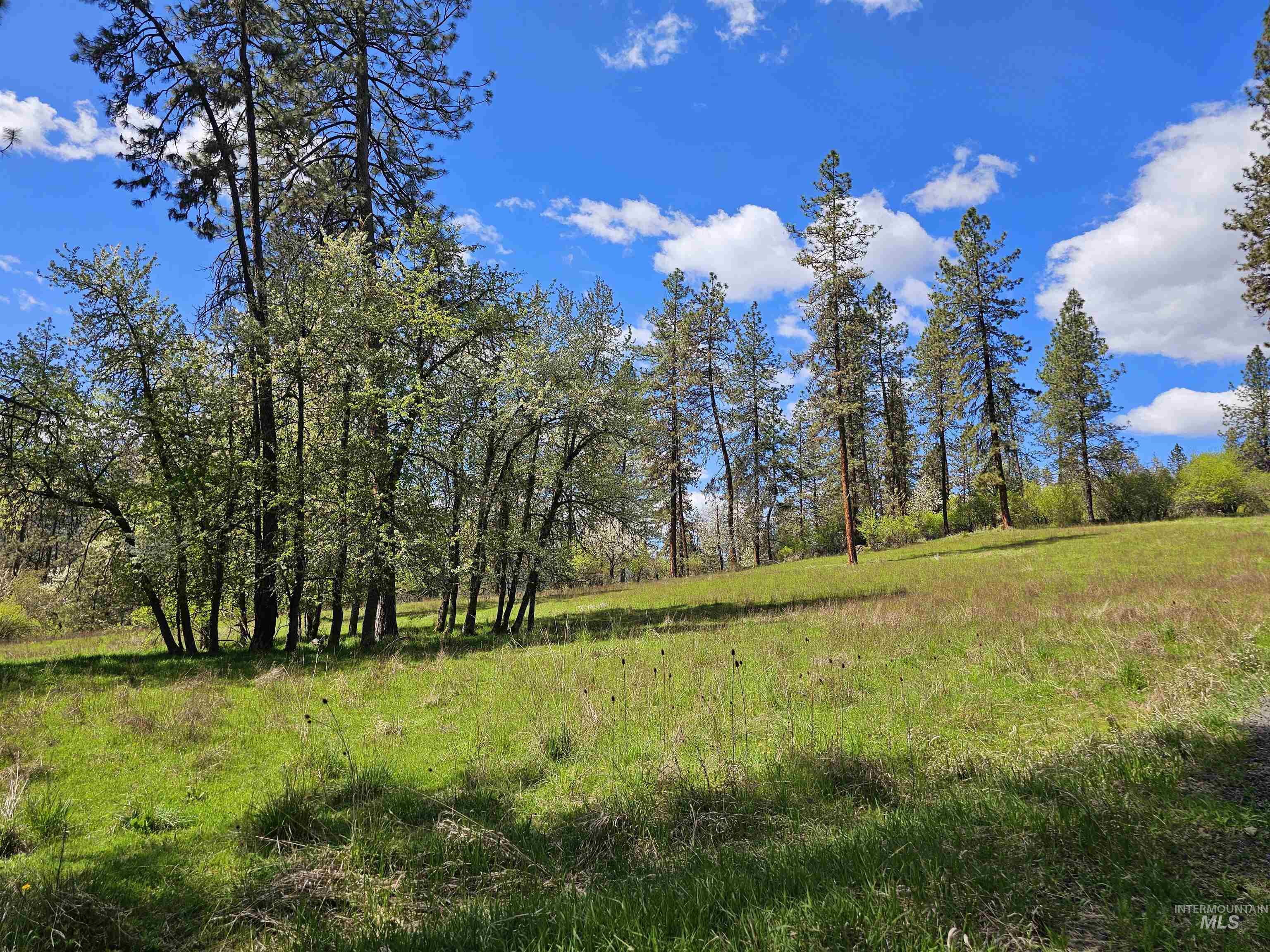 115 Weedmark Way Kamiah, ID 83536 - Photo 34 of 44