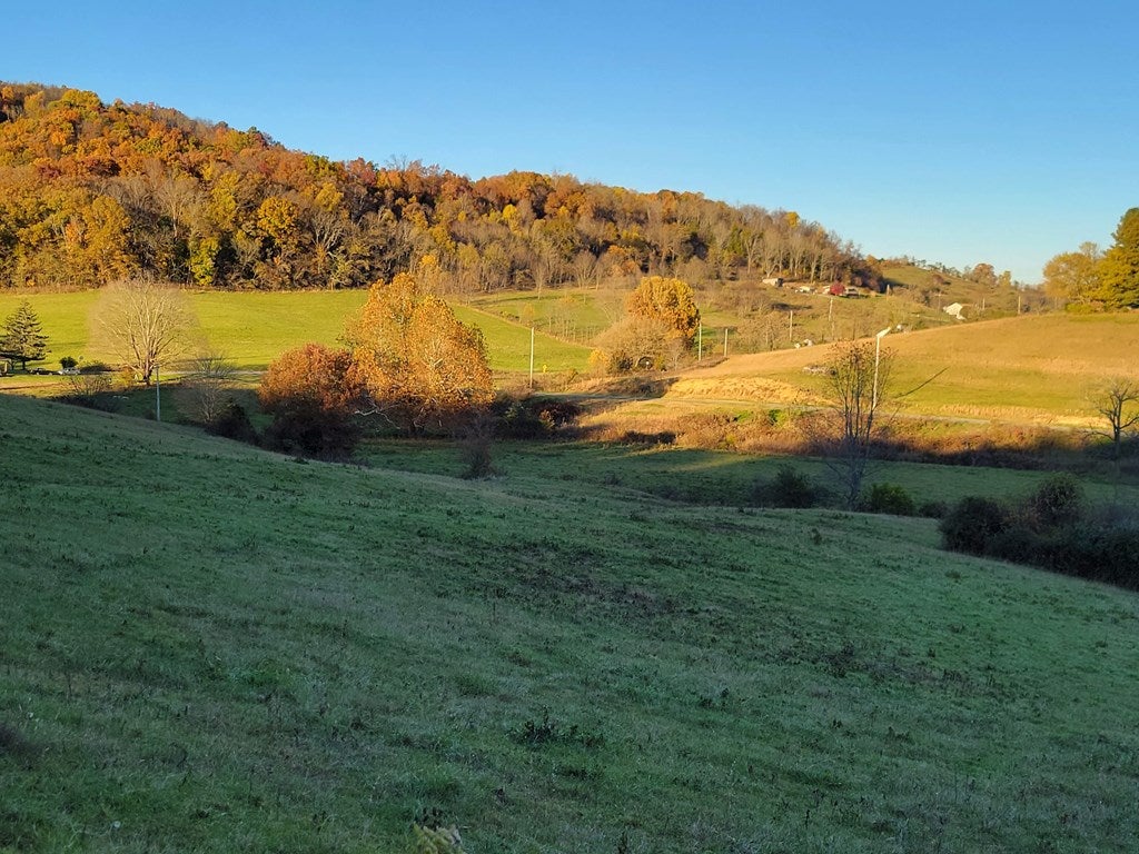 Tbd Reedy Creek Road Bristol, VA 24202 - Photo 24 of 28 Gallery Image 24