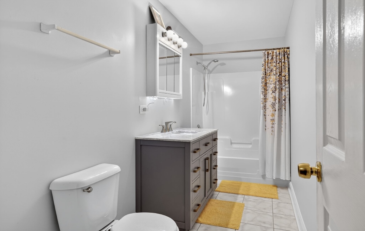 4953 South Michigan Avenue, Unit 7 Chicago, IL 60615 - Photo 8 of 13 a bathroom with a sink mirror vanity and toilet
