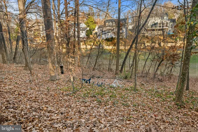 a view of a yard with large trees