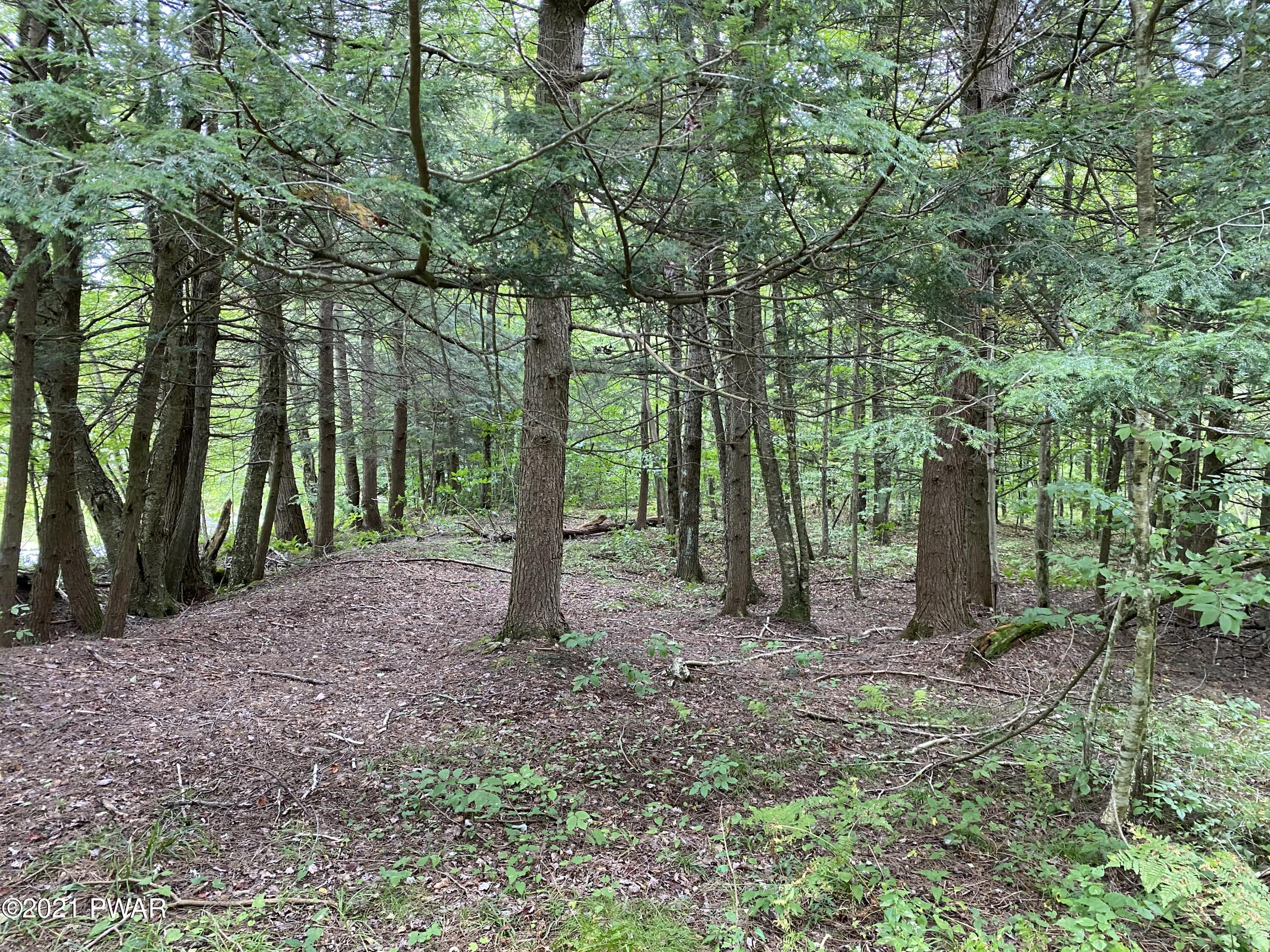 Chinamans Road Lakewood, PA 18439 - Photo 2 of 7