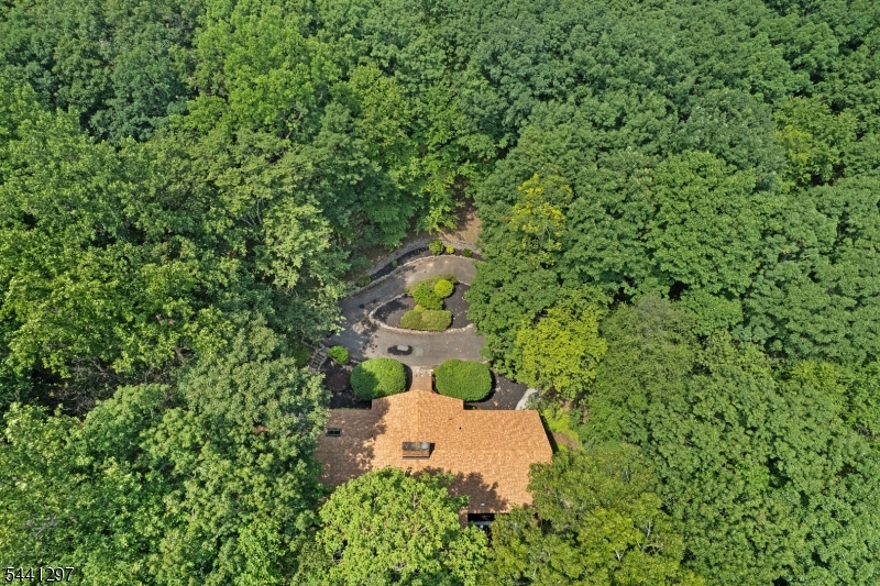 6 Farm Road Chester, NJ 07930 - Photo 3 of 41