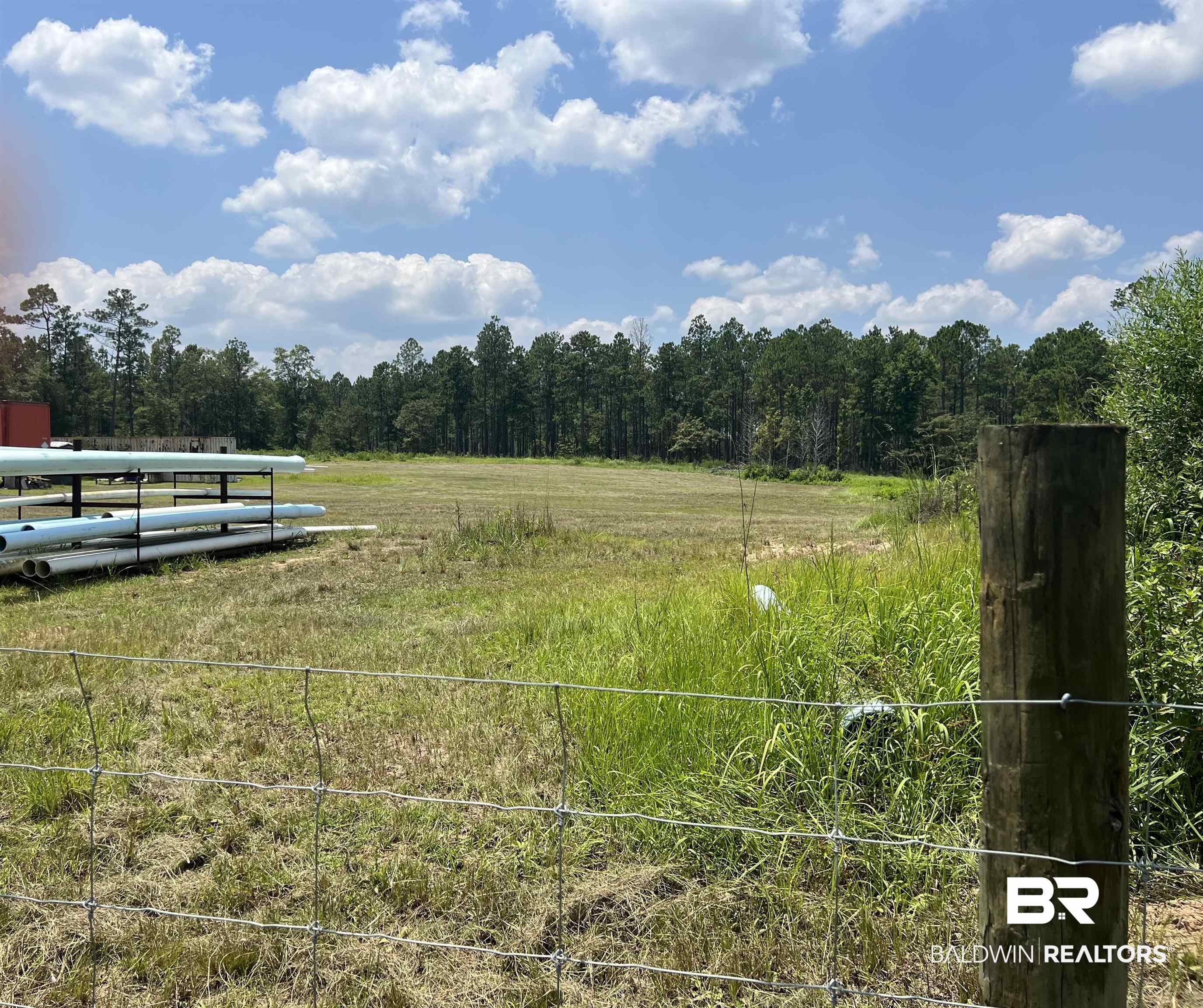 0 Beverly Jefferies Highway Citronelle, AL 36522 - Photo 5 of 19