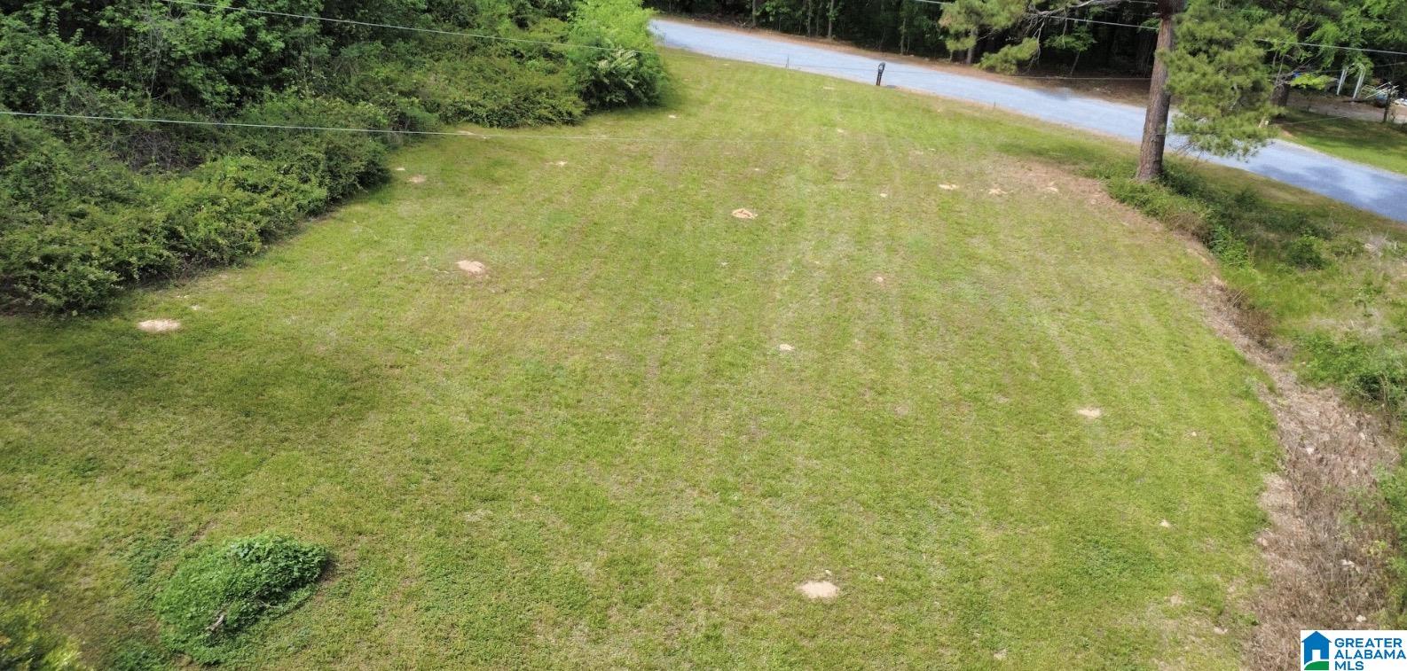 1020 Springhill Road Talladega, AL 35160 - Photo 36 of 40