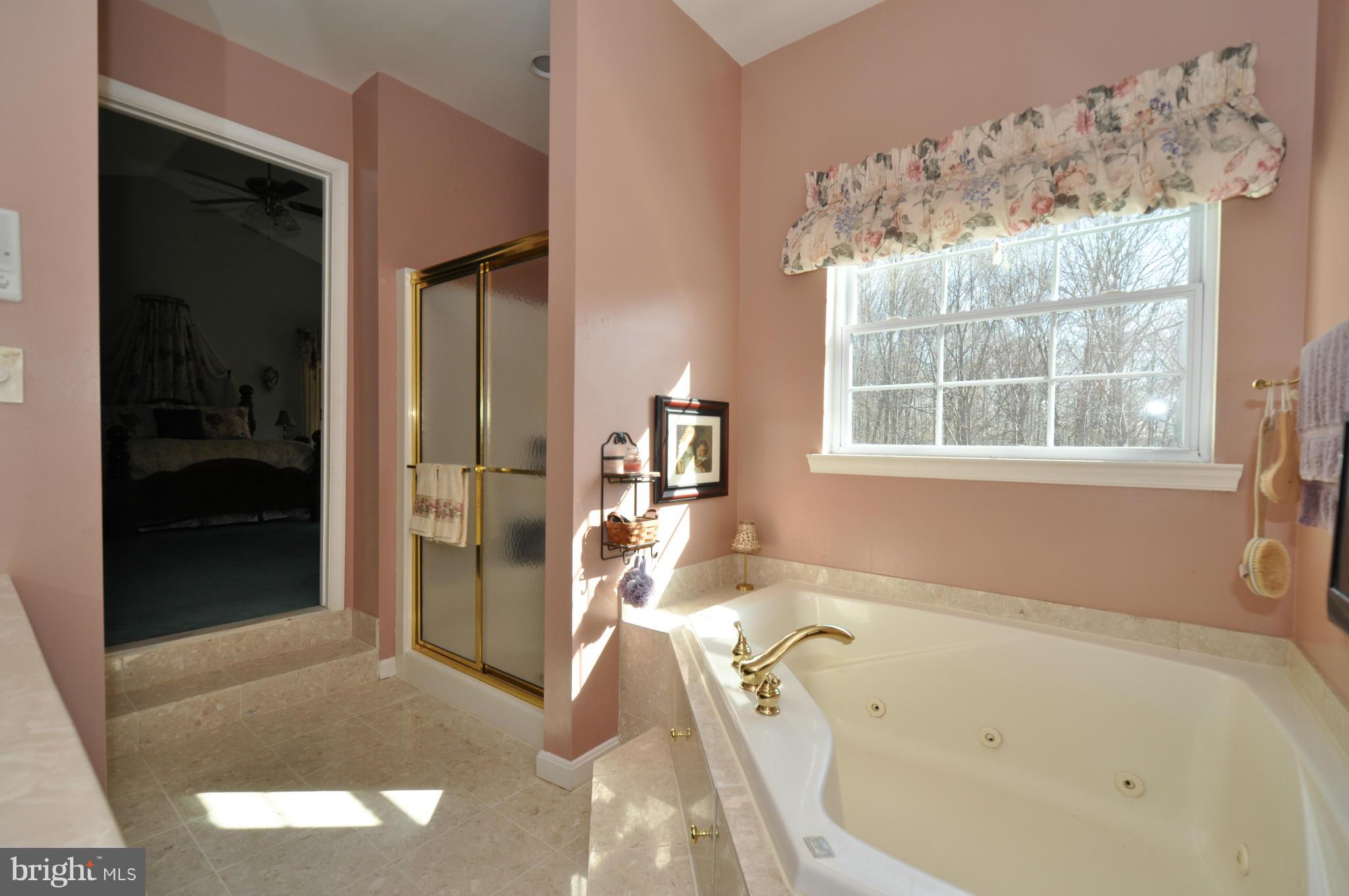3469 Mill Green Road Street, MD 21154 - Photo 21 of 30 Bath (Master)