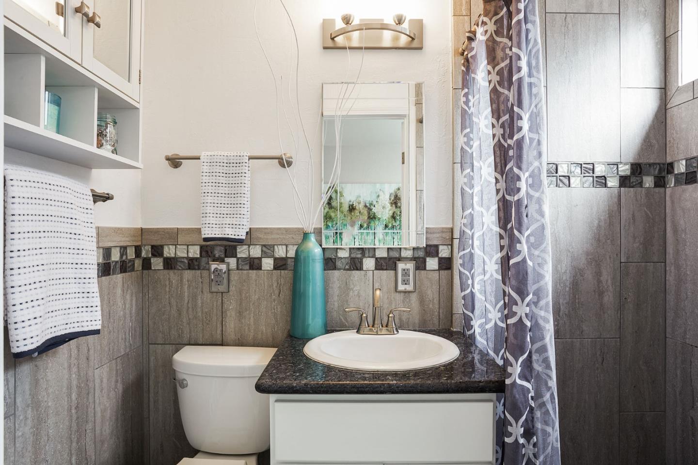 1015 Sycamore Drive Millbrae, CA 94030 - Photo 14 of 26 a bathroom with a toilet and a sink
