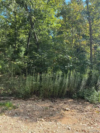 $32,500 | Tbd Liam Lane, Ellington, MO 63638