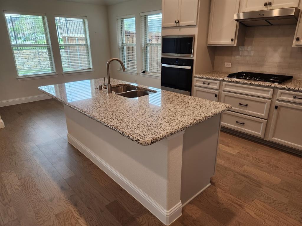 3816 Oldham Road Little Elm, TX 75068 - Photo 6 of 18